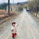 맘마목장 이미지