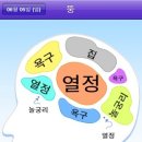 강아지놀이터 이미지