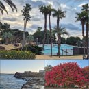 악근천 | 아이와 친구와 함께한 3박 4일, 켄싱턴리조트 서귀포 프리미어 노멀 가든 뷰 솔직 후기