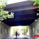 부식농장 이미지