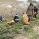 원이중학교이원분교장 이미지
