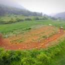 서강농장 이미지