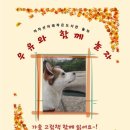 아차산아래작은도서관놀자 이미지