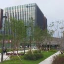 춘천 성수여자고등학교 강원신문