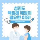 백이비인후과의원 | 어른이 되어서도 백일해 예방 접종을 또 맞아야 하는 이유! <이비인후과 전문의 작성>