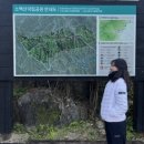 김밥천국단양도시락 | 단양 1박 2일 🍂 [소백산, 고수동굴, 카페 산, 단양구경시장]