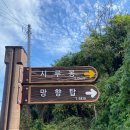 시루봉 | [대전] 보문산 등산코스 (대신초교 입구~시루봉) 뚜벅이 등린이 후기