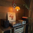 홀리데이 인 경주 | 경주 감성 독채 | 홀리데이인경주에서 웨딩스냅 촬영 후기(마당O) | 스냅장소 추천