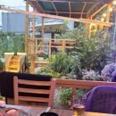 장수장어 이미지