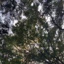 복드림공인중개사사무소 이미지