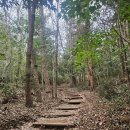 한갓 | 다산 정약용과 아암 혜장스님_망년지교 6년의 짧은시간에 많은것이 준비되다.