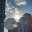 익산속눈썹펌/어양동속눈썹:: 메이율, 무쌍 영양듬뿍속눈썹펌 LC컬 후기