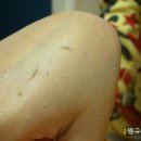 매직리페어