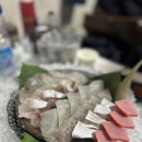 왕도매회어시장 | 중곡동 횟집 찾는다면 여기! 중곡제일시장 가성비 횟집 추천 :: 왕도매회어시장 후기 (내돈내산)