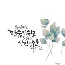 수채화도 배우고 캘리그라피도 배우고~ 수채캘리그라피 이미지