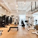 포우먼핏 네이버블로그