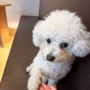 하나로카케어 | 구로산전관리 추천 28주차 산모가 감탄한 카에네에스테틱 케어 후기