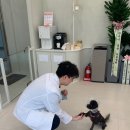원주동물병원