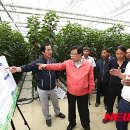 조성봉농장 이미지