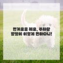 금광프라자약국 이미지