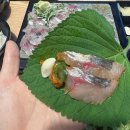 그리니김해 | [김해 장유 맛집] 장유 유일제철 활전갱이회 '풍덩' 내돈내산 솔직 후기