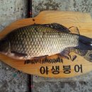 송전지 수원좌대