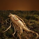 경희생한약국 이미지