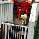 속초설악의풍경펜션 이미지