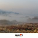 The Heaven 티스토리