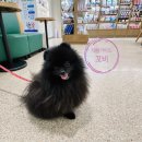 동물진료법인 포레스트 이미지