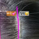 The Beauty #(더 뷰티 샵)