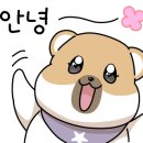 FUNNY LAND 이미지