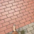 회문팰리스 | 8월3주