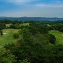 보보스(BOBOS) 이미지