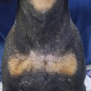 무등동물병원 이미지