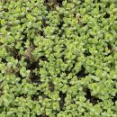 화은농장 이미지