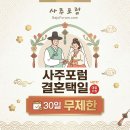 도대길 티스토리