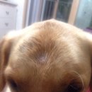 김성록동물병원 이미지