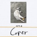 [공지] ✅ 말레이시아 9일차 맛집 후기, 스콜성 비, 범람, 한식 맛집, 모스크 구경