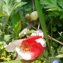 오길농장 이미지