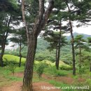 공산성 옛성안마을 화장실 | 충남 공주 가볼만한곳 역사여행과 드라이브 산책을 즐기기 좋은 여행지 6곳