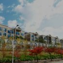 내서읍146 이미지