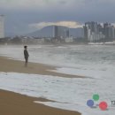 [류재림 오늘의 포토]영동, 강풍 속 속초 해변...강한 쇄파에 시민들 어씽(earthing) 즐기며 자연 체감 이미지