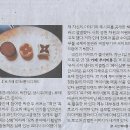 오너치킨 이미지