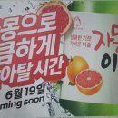 이슬전자 이미지