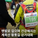 계족산황톳길 | 가을 정취 가득한 힐링의 장, 장동산림욕장 2025 계족산 황톳길 걷기대회 후기
