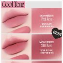 스테이핏 이미지