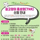 2022년 길고양이 중성화 사업 이미지