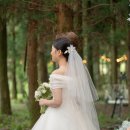 모드니펜션 - 강화군 고비고개로743번길 68-12 | 제주 스몰 웨딩) 직계 가족 결혼식 비용 공개/ 국제 커플 직계 가족식 후기