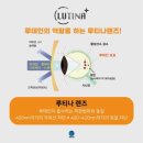 보노안경 이미지